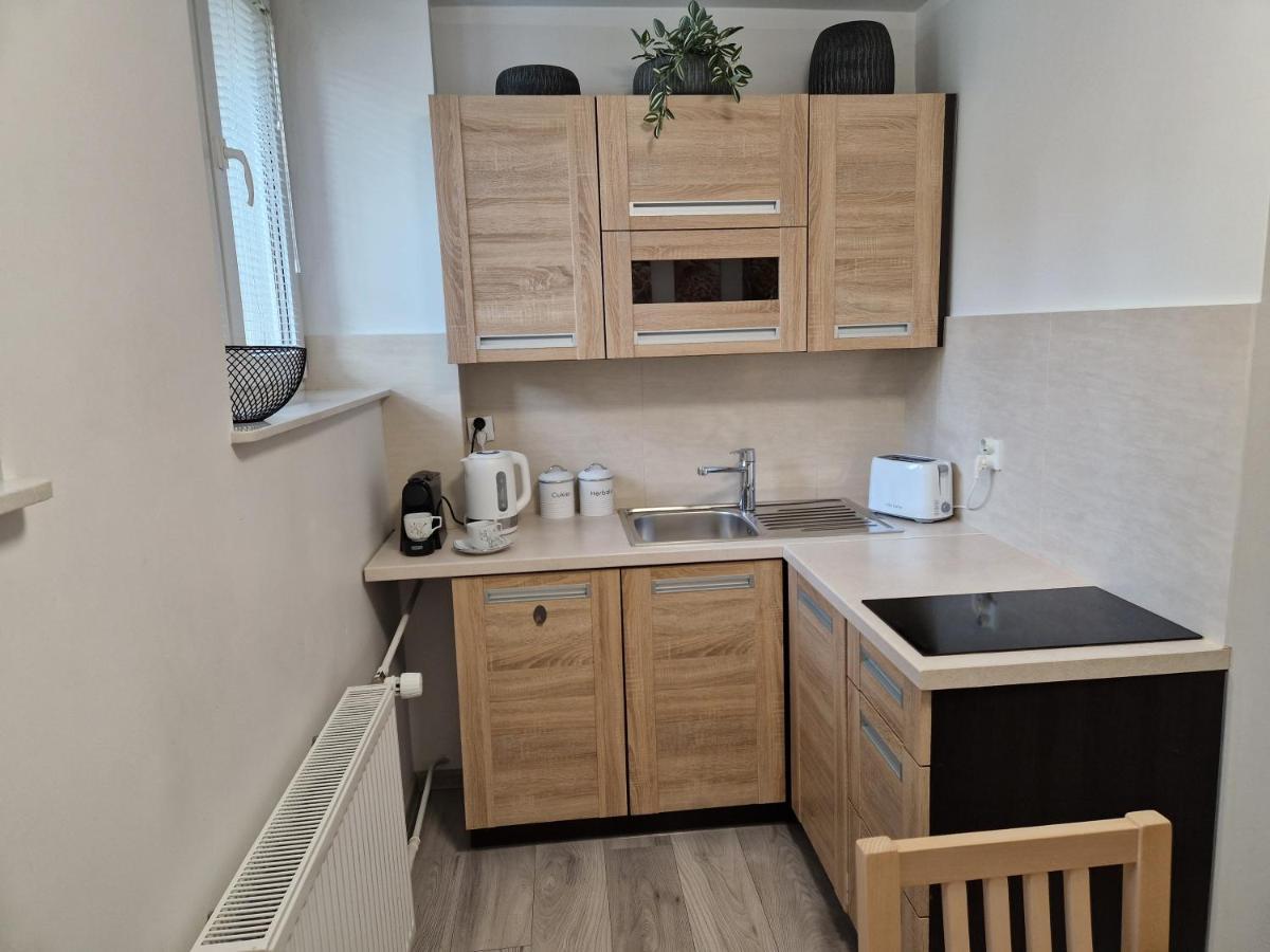 Apartament W Srodmiesciu Sanok Luaran gambar